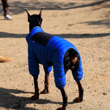Водонепроникний теплий одяг для собак - куртка, жилет, одяг для маленьких, середніх та великих собак. Колір: синій, розмір L