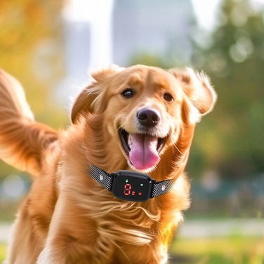 Антитягний нашийник для собак, тренувальний нашийник-пасок