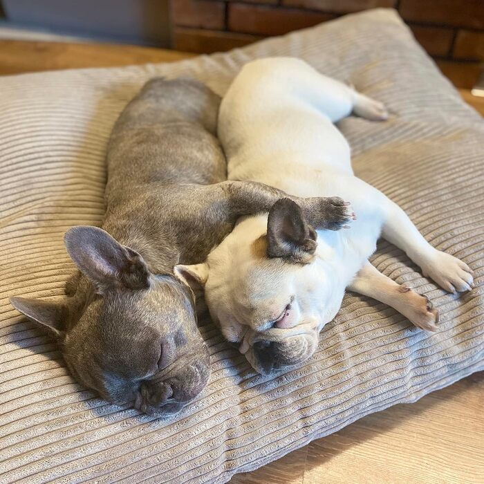 Килимок для собак 4L Textil ZOE: м'який, зручний, з блискавкою, для великих собак, з можливістю прання (графіт, смужки)