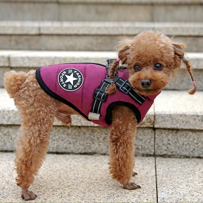 Зимовий жилет для собак Ectkuee з кріпленням для повідка, водонепроникний, з світловідбиваючими смугами, машинне прання, D-Ring (зелений, фіолетовий), XXL