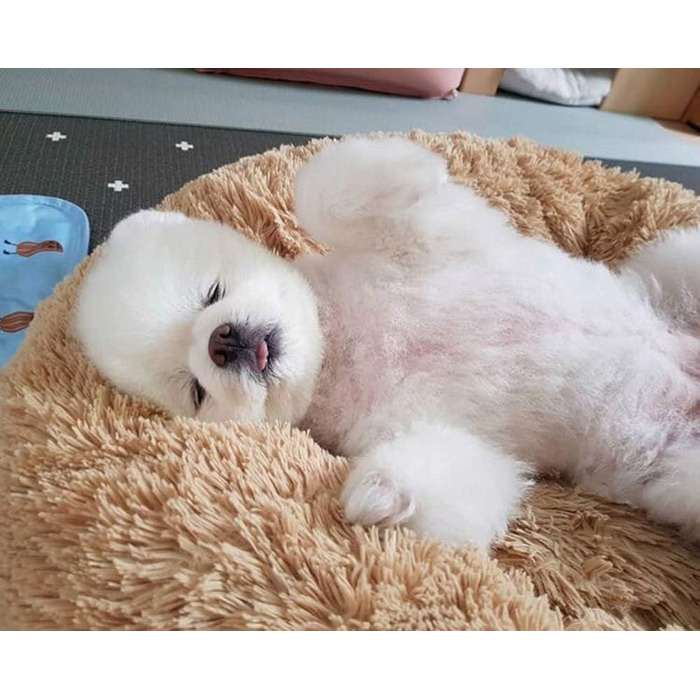 М'яке ортопедичне ліжко для домашніх тварин для собак і котів, ліжко-гніздо у вигляді пончика, для маленьких, середніх і великих собак, подушка для собак, яку можна прати - 60*60*20 см (70*70*20 см, Бежевий)