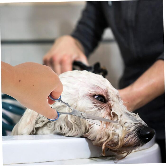 Набір професійних ножиць для грумінгу собак та котів з високоякісної цинкової сплави та ергономічними ручками