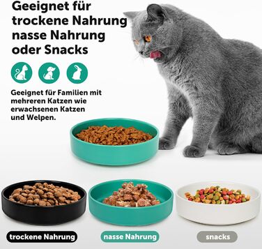 Котлові миски з кераміки для котів та кошенят: набір мисок для корму, годівниці для тварин