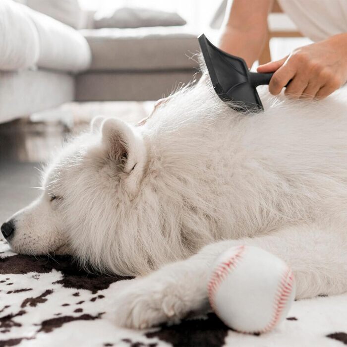 Гребінець для собак від Haustierkamm: видаляє ковтуни та вичісує шерсть середніх та довгошерстих собак