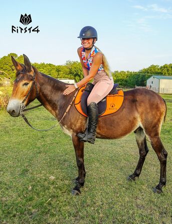 Легінси для їзди верхи FitT4 Reitlegging для жінок та дівчаток з силіконовими вставками, кишенею для телефону та петлями для ременя. Ідеально для верхової їзди та тренувань коней (Небесно-рожевий, S)