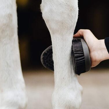 Гнучка ергономічна щітка-кардза Animalon CareFlex для чищення коней з кріпленням на липучці, аксесуари для догляду за кіньми