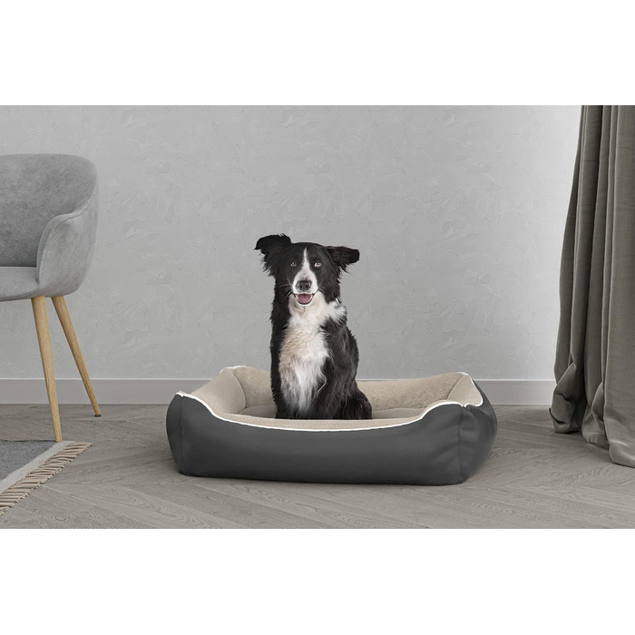 Кімната для домашніх тварин Sogni E Capricci Bett, 48 x 42 x 16 см (кремовий колір, розмір 84 x 66 x 19 см, NUVOLA)