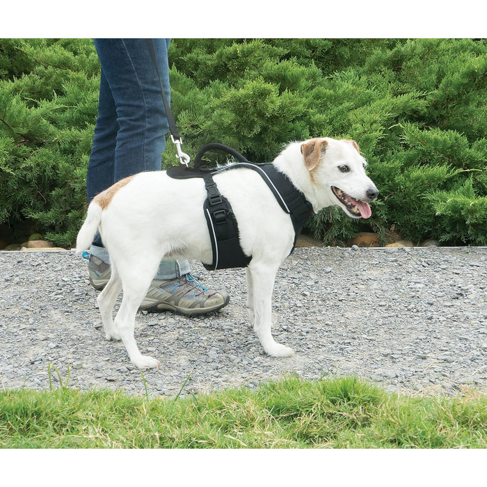 Шлейка для собак PetSafe EasySport, повністю з м'якою підкладкою, для собак 9-16,5 кг, розмір S, чорна