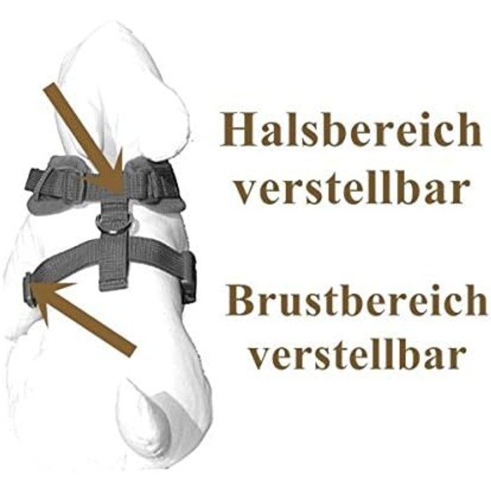 Нашийник для собак Softgeschirr Anker Maritim: м'який, регульований, для відпочинку, розмір L (37-42см/47-63см)