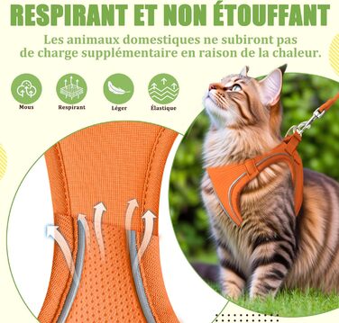 Нашийник для котів Qianruida з повідком, регульований, зручний, дихаючий, світловідбиваючий (Помаранчевий, XS)