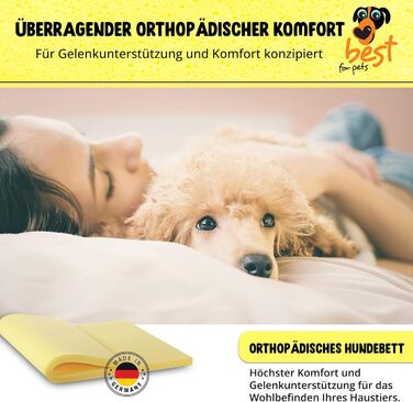 Ортопедичний лежак для собак | Лежак для собак з ефектом пам'яті | Лежак для собак з ефектом пам'яті, знімний, миючий | 45x55x4 см