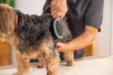 Двостороння щітка Wahl для собак і котів 2 в 1, професійний догляд, видаляє ковтуни, зелена