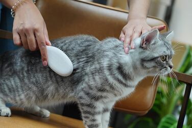 Щітка для котів LucyBalu® для короткої та довгої шерсті | Щітка для вичісування шерсті котів | Щітка для підшерстка котів | Гребінець для котів для догляду за шерстю | Щітка для шерсті тварин | Щітка для котів з металевими щетинками та дерев'яною ручкою б