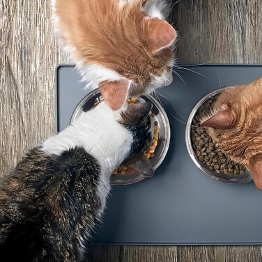 Набір мисок для котів зі сталі, 18 см, 4 шт. Підвищені миски для корму, для кошенят та дорослих котів, зручні для чутливих вусів