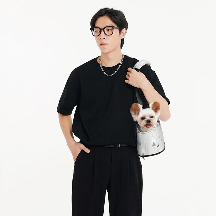 Траплянка сумка-переноска для котів та собак, складна, для подорожей, літаків, автобусів, метро (геометричний принт)