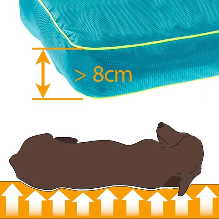 Ортопедичний лежак для собак та котів FERPLAST Polo - блакитний, 80x50x8 см, M, знімний наповнювач, миється, стійкий до подряпин