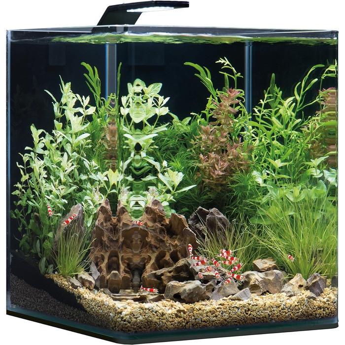 Акваріум Dennerle Nano Cube Complete+ 30 л, комплект для акваріумістики