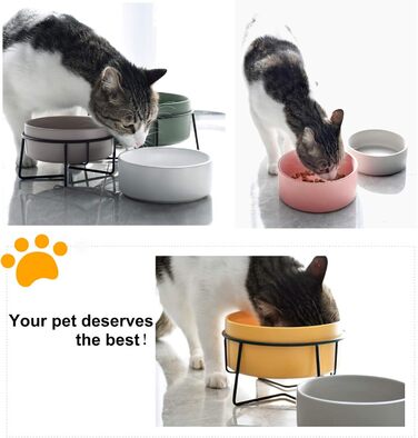 Набір мисок для котів PETTOM з підставкою (2 шт.), кераміка, захист шиї, зелений + сірий