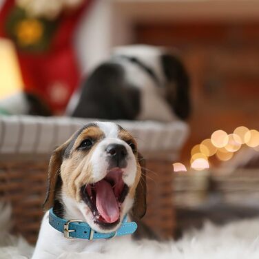 Нашийники для цуценят Periflowin, 14 шт. - м'які шкіряні нашийники для собак та котів, регульовані, для маленьких порід