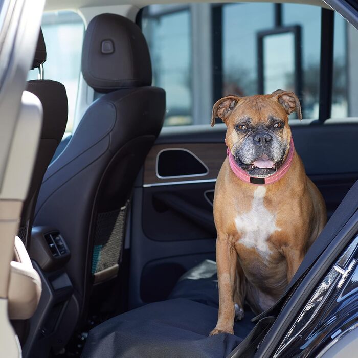 Чохол на сидіння автомобіля для собак Amazon Basics, 119 x 142 см, чорний