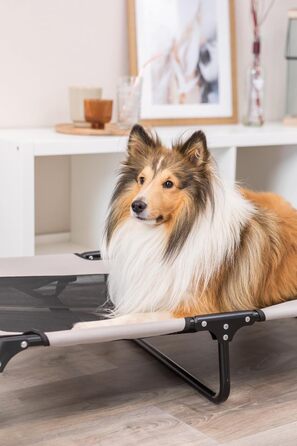 Лежанка для собак TRIXIE Strong Edition – стабільна та комфортна, 79x19x50 см, бежево-чорна