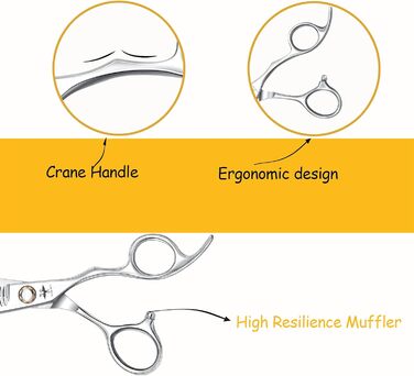 Професійна перукарська ножиця PURPLEBIRD 6 дюймів для стрижки та філірування, з японської сталі 440C, для жінок та чоловіків