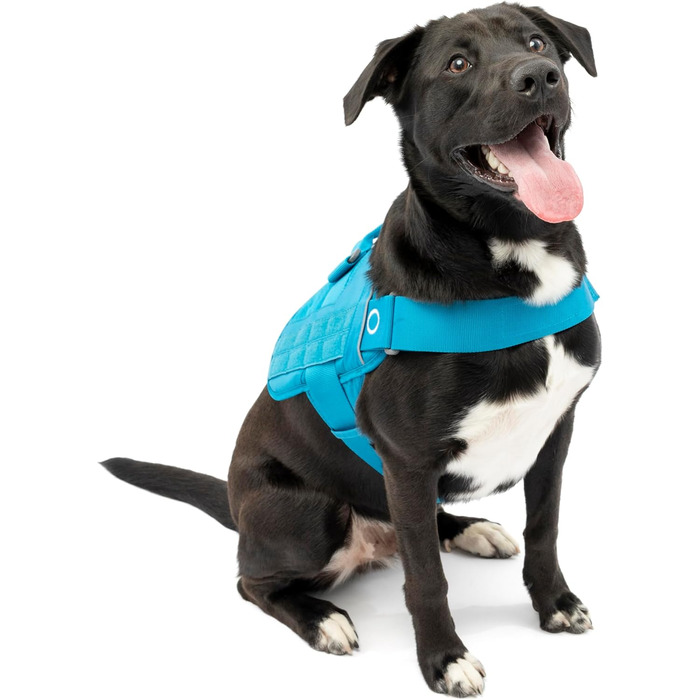 Шлейка для собак Kurgo Townie RSG, тренувальна жилетка з ручкою, світловідбиваюча, сумісна з MOLLE, XL, блакитна