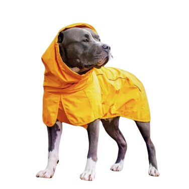 Дощовик для собак Spark Paws, водонепроникний, вітрозахисний, жовтий гірчичний, розмір 2XL