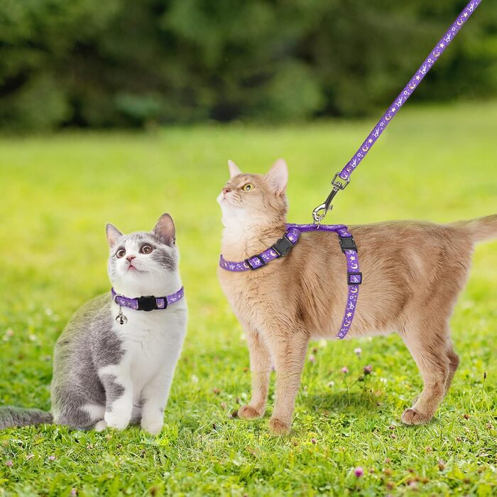 Шлейка для кота PAWCHIE з повідком та ошийником, витривала, регульована, світиться в темряві, для кошенят, для прогулянок на вулиці (фіолетовий, S)