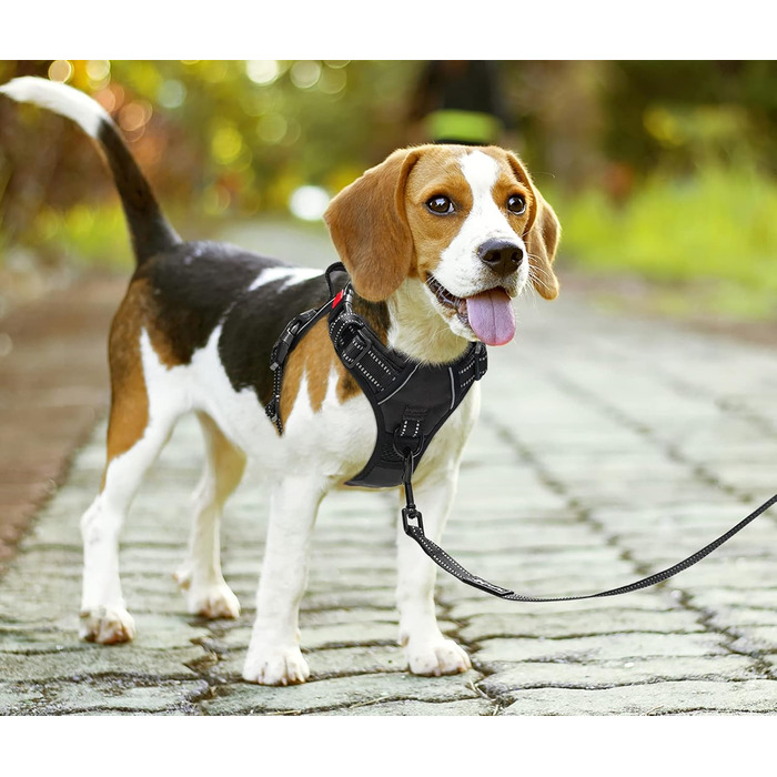 Шлейка для собак PoyPet, проти витягування, без нудоти, світловідбиваюча, з 2 карабінами, регульована, м'яка, з простим контролем, для собак будь-якого розміру (XL)