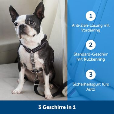 PetSafe 3-в-1 шлея для собак з ременем безпеки, зменшує тягу та тиск на шию, розмір M, чорна