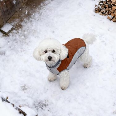 Тепла та стильна куртка для собак: теплий, якісний одяг, вітронепроникна жилетка – ідеальний зимовий одяг для вашого собаки (Sky Blue, ) Hielblau (XS, Brown)