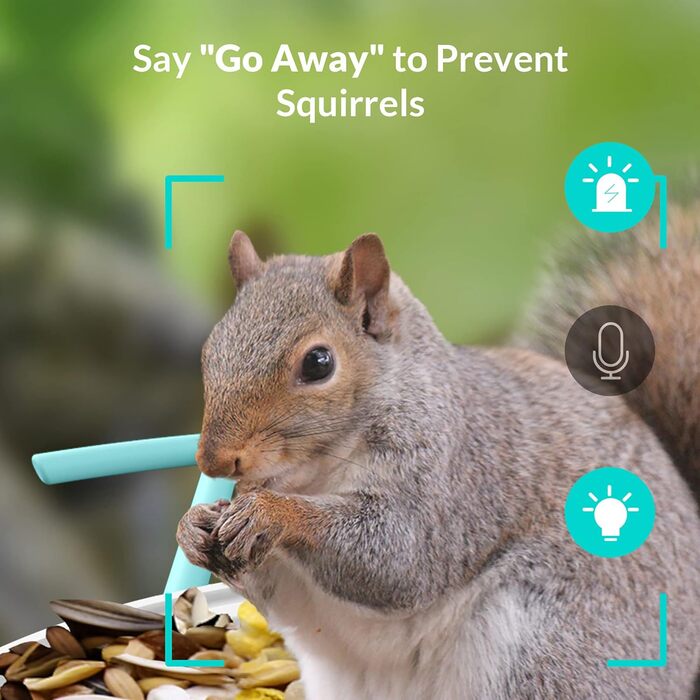 NETVUE Birdfy розумна годівниця для птахів з камерою, Wi-Fi, сонячною панеллю та безкоштовною AI-ідентифікацією птахів, автоматичний відеозапис, синя