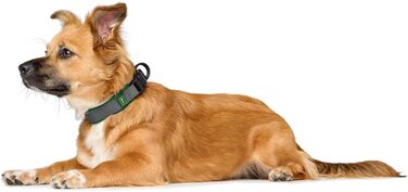 Крісло HUNTER Hasband Madon: дихаюча сітка, міцний нейлон, гіпоалергенне, з підлокітниками, адресна панель, розмір XL, зелене