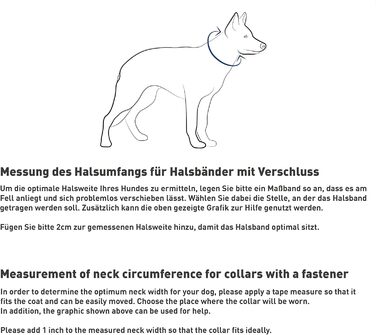 Собачий нашийник Sprenger Neck-Tech Fun з ClicLock, нержавіюча сталь, плоскі змінні ланки, 60 см