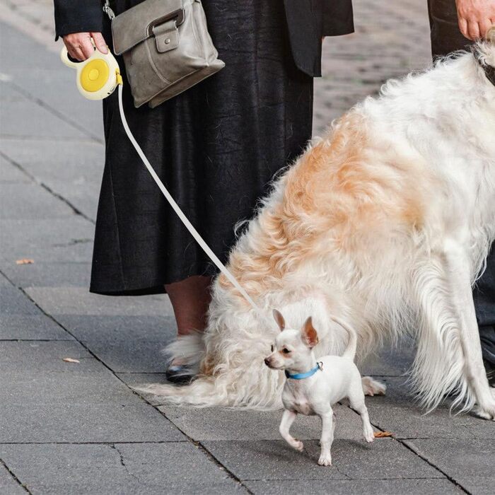 Висувна поводок для собак, 5м, міцний нейлоновий поводок з LED-підсвічуванням, безпечна заплутуванням, висувний поводок для собак маленьких та середніх порід вагою до 50кг