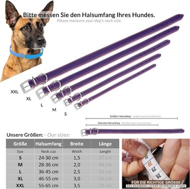 Шкіряний нашийник Schnüffelfreunde Fun Line для собак, м'який і міцний, XXL (55-65 см), лілово-рожевий