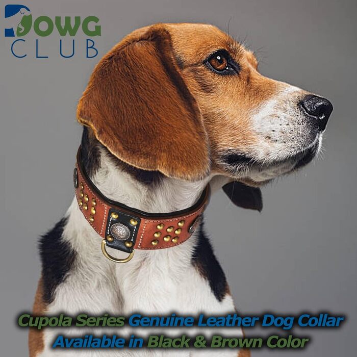 Шкіряний нашийник для собак DowgClub Cupola, кельтські кончо, золоті купольні заклепки, м'яка підкладка, ручна робота, сієнна, 57 см, для середніх і великих порід