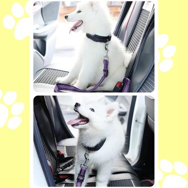 Ремінь безпеки для собак у машину, еластичний, подвійний, регульований (фіолетовий)