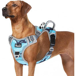 колір: тарнблау