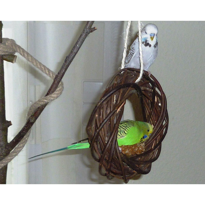 Два смачні дерев'яні кільця з лози для папуг, хвилястих та корел; плетіння з лози. Іграшка для птахів у клітку, вольєр. Ігровий майданчик для птахів для підвішування. 2 дерев'яні кільця 2.0