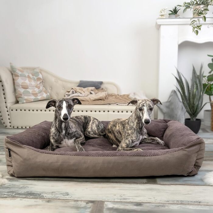 4L Textil Teo: М'яке ліжко для собак, корзина для собак середнього розміру, знімний та пральний чохол (100x80 см, Коричневий)