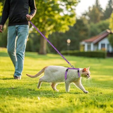 Шлейка для кота PAWCHIE з повідком та ошийником, витривала, регульована, світиться в темряві, для кошенят, для прогулянок на вулиці (фіолетовий, S)