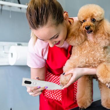 Бездротовий собачий триммер з LED-підсвічуванням та низьким рівнем шуму, цифрова панель, 2 швидкості, аксесуари для догляду вдома та в подорожах