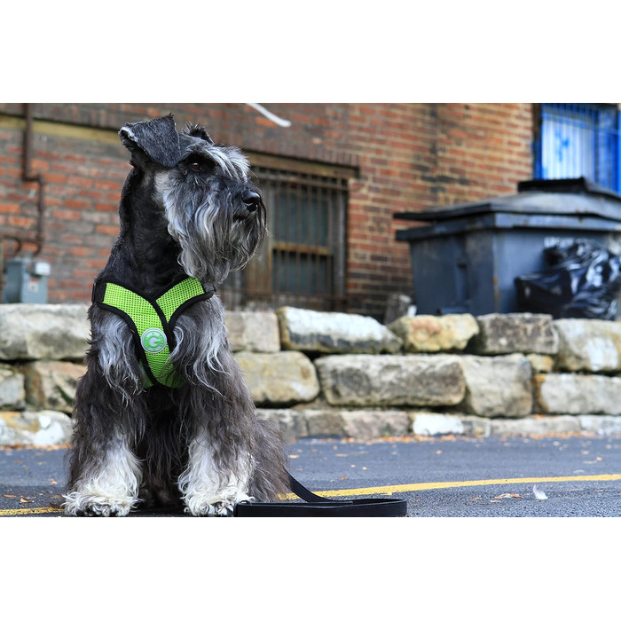 Шлейка для собак Gooby Comfort X, зелена, Small (обхват грудей 9-13 дюймів)