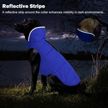Зимовий теплий одяг для собак - водонепроникна куртка для холодної погоди, комфортна тепла одіяг для цуценят, собак, малих, середніх та великих собак (Блакитний, розмір 2XL)