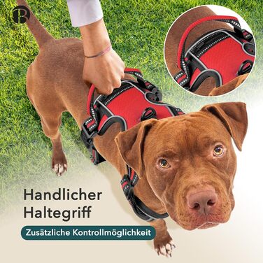 Шлейка для собак середніх порід Bluzelle з ручкою та кишенею для GPS-трекера, світловідбиваюча, дихаюча, зелена (XS, червона)