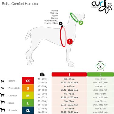 Магнітна шлейка Belka Comfort чорна, розмір M