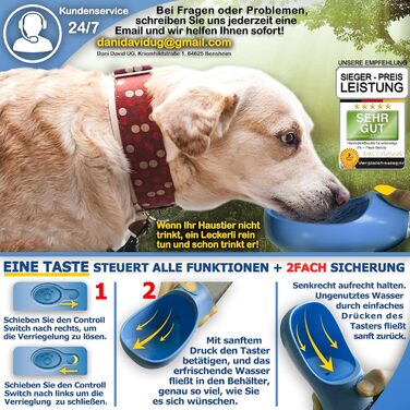 Набір з 2 шт. для собак: велика складана пляшка для води 550 мл + щітка для зубів | Без витоку | Преміум якість