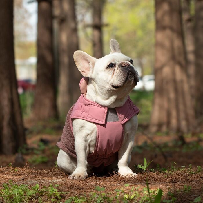 Зимовий теплий жилет для собак, фліс, зручний, регульований, водо- та вітронепроникний, з шлейкою, для маленьких/середніх собак (Рожевий, XL(Обхват грудей 42см))